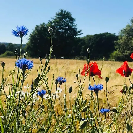 Uns Luetje Hus - * Зеллин